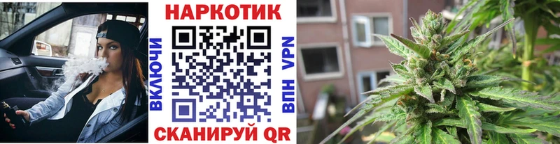 МЕФ Бирюч