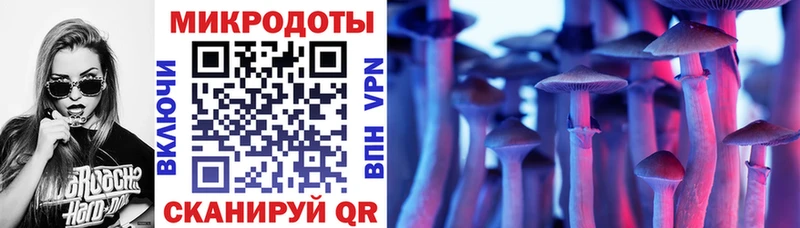 наркотики  Бирюч  Псилоцибиновые грибы Psilocybine cubensis 